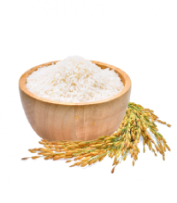 فطریه عام